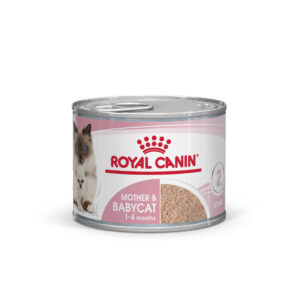ROYAL CANIN | MOTHER & BABYCAT
