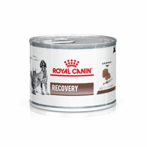 ROYAL CANIN | RECOVERY (GATO Y PERRO)