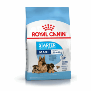 ROYAL CANIN | STARTER MAXI