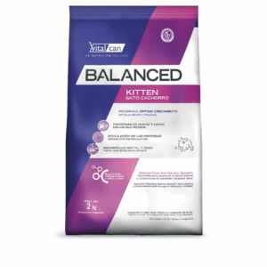 VITAL BALANCED | BALANCED GATO KITTEN