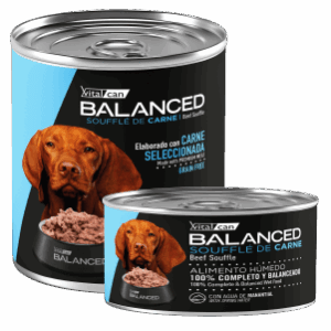 VITAL CAN | BALANCED SOUFFLE DE CARNE PERRO ADULTO