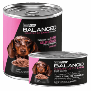 VITAL CAN | BALANCED SOUFFLE DE CARNE PERRO CACHORRO
