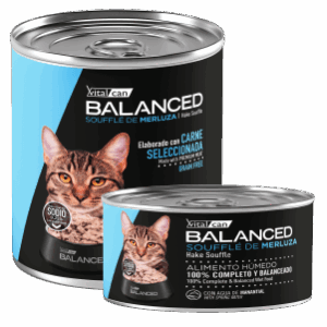 VITAL BALANCED | BALANCED SOUFFLE DE MERLUZA GATO ADULTO