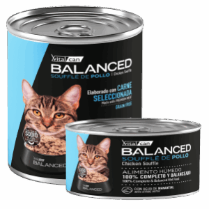 VITAL BALANCED | BALANCED SOUFFLE DE POLLO GATO ADULTO