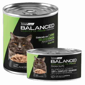 VITAL BALANCED | BALANCED SOUFFLE DE POLLO GATO ADULTO CASTRADO
