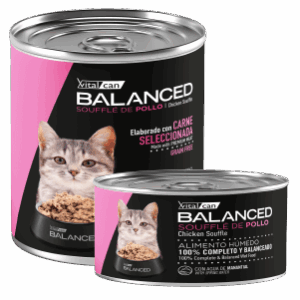 VITAL BALANCED | BALANCED SOUFFLE DE POLLO GATO CACHORRO