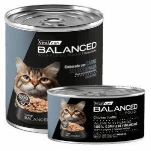 VITAL BALANCED | BALANCED SOUFFLE DE POLLO GATO SENIOR