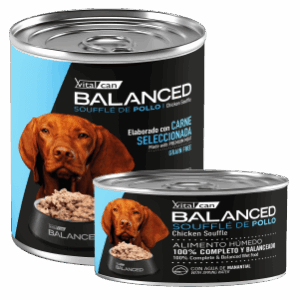 VITAL CAN | BALANCED SOUFFLE DE CARNE PERRO SENIOR
