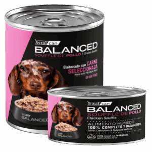 VITAL CAN | BALANCED SOUFFLE DE POLLO PERRO CACHORRO