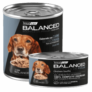 VITAL CAN | BALANCED SOUFFLE DE POLLO PERRO SENIOR