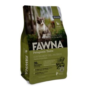 FAWNA | KITTEN