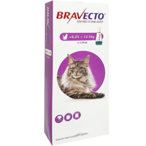 BRAVECTO GATO  DE  6,25 A 12,5KG