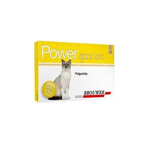 POWER GATO HASTA 4KG