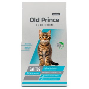 OLD PRINCE | EQUILIBRUM KITTEN
